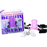 Remote Control Teddy Bear