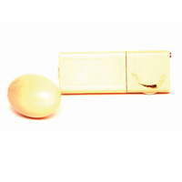 Vibrating Love Egg