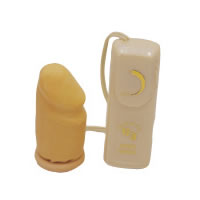 Vibrating Extension Sheath