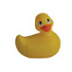 Travel I Rub My Duckie