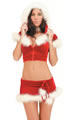 Santas Mistress