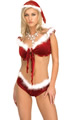 Sexy Santa Outfit
